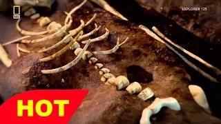 Australia s Secrets of Evolution Down Under Full Long Documentary HD 720p HD