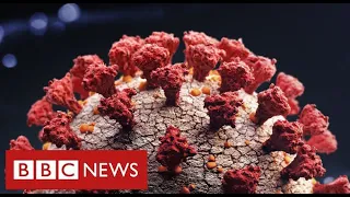 Fears that new Covid variant is more infectious and harder to contain - BBC News