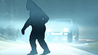 The Truth About Bigfoot.