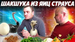 Такого рецепта вы не найдете / шакшука из страусинного яйца