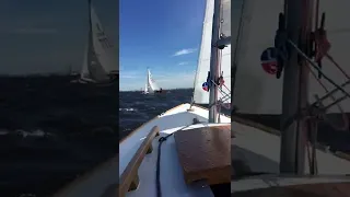 Folkboat 16 in regatta