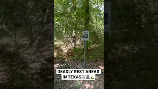 🪦☠️DEADLY ANIMALS AT REST AREA IN TEXAS😩 #shorts #animal #animals #snake