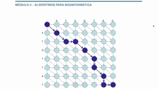 Prévia e-book curso Introdução à Computação para Bioinformática
