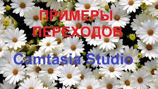 Camtasia Studio  Эффекты видео. Переходы между файлами - ПРИМЕРЫ