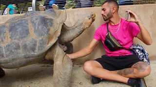 EYE TO EYE! WITH OLDEST TORTOISE IN THE WORLD!