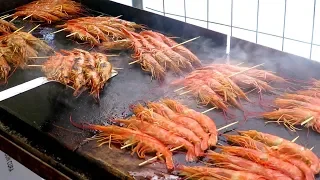 Big Prawns Skewers Cooked on Grill. Italy Street Food