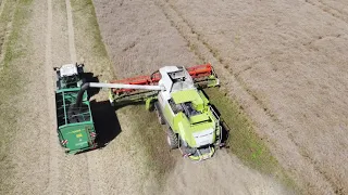 Claas Lexion 760 Mähdrescher am Raps dreschen Ernte 2020 DJI Maviv Mini Drohne canola harvest