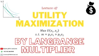 Utility Maximization by using Lagrange Multiplier Method | Utility Optimization