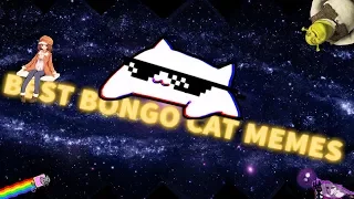 Best Bongo Cat memes compilation #BongoCat