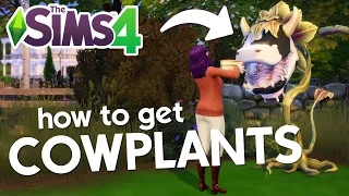 best way to get COWPLANTS in the Sims 4 🐄🌱  || #shorts