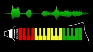 Melodica Reggae (Mandis Megamix)