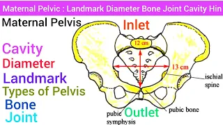 Maternal Pelvic : Anatomy, Structure, Landmark, Diameter, Inlet, Outlet, Cavity, Bone, Joint, Types