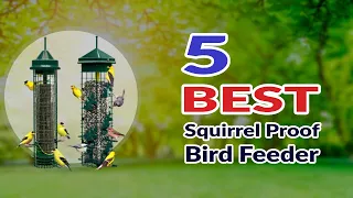 The Best Squirrel Proof Bird Feeder - How To Keep Squirrels Out