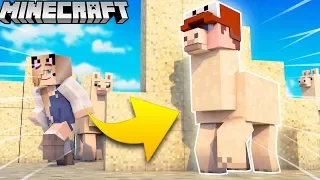 LAMA TROLL?! - ZABAWA W CHOWANEGO W MINECRAFT (Hide and Seek) | Vito vs Bella