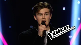 Mikael Johansen | In My Blood (Shawn Mendes) | Blind auditions | The Voice Norway