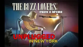 Tributo a Nirvana/UNPLUGGED/The Buzz Lovers