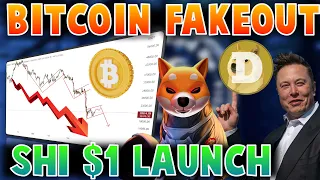 🔴 Bitcoin Fakeout - Latest Update | Shiba launches Shi Stable coin | Elon Accepts Doge for payments