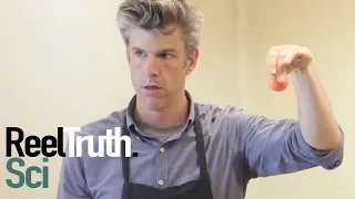 Going Deep with David Rees - How To Bounce a Ball | How To Show | Reel Truth. Science