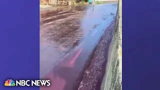 Portuguese distillery spills over 500,000 gallons of wine onto streets