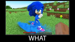 Minecraft wait what meme part 209 realistic minecraft Sonic the hedgehog 3