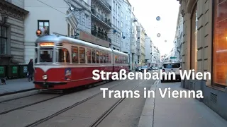 Straßenbahn Wien - Trams in Vienna (Jänner/January 2024)