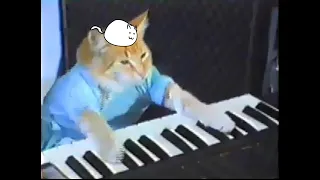 [Beat Saber] Keyboard Cat - Expert+ | Mapped by Koreami