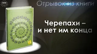 Черепахи - и нет им конца (отрывок из книги)