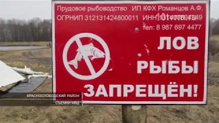 Под Краснослободском инспекторы ДПС задержали похитителя карпов