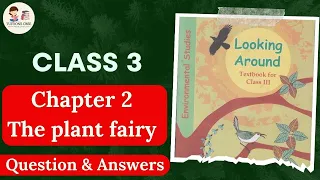 Class 3 EVS Chapter 2 The Plant Fairy Question Answers