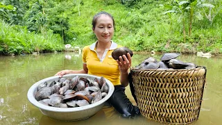 Harvesting Oysters, Banana and bring them to the market to sell - Animal care - Ly Thi Tam