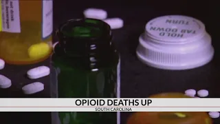 Opioid deaths increase for 4th year in a row; Greenville sees 80% increase