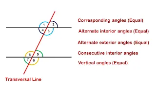 Transversal, Corresponding, Alternate interior, Alternate exterior, Consecutive interior, Vertical