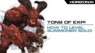 HorizonXI | Insane solo EXP for Summoner!