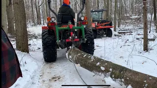 162 Skidding logs with compact tractor