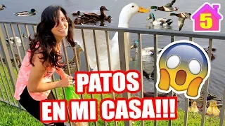 SE LLENA DE PATOS MI CASA! Y VIENE EL DECORADOR ♥ Cap 5 Poniendo Bonita la Casita - SandraCiresArt