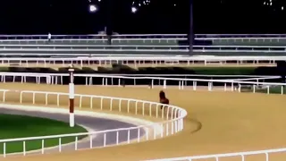 Kabirkhan (California Chrome) Training For the Dubai World Cup 2024