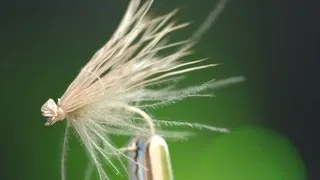 CDC & Elk Caddis -- Fly tying lesson video tutorial by Curtis Fry