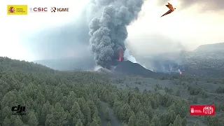 19/10/21 D Apertura de nueva boca eruptiva al SE en la base del cono piroclastos. Erupción La Palma