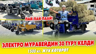 Мынаке туугандар! ЭЛЕКТРО МУРАВЕЙЛЕРДИН өтө КҮЧТҮҮЛӨРҮ келди ~ ЧЕКЕДЕН чертип АЛА бересиз ~РАССРОЧКА