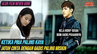 PENGORBANAN ANAK PENGUSAHA KAYA DALAM MENGEJAR CINTA GADIS DESA MISKIN || Alur Film Romantis