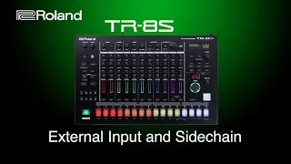 Roland - TR-8S - External Input and Sidechain