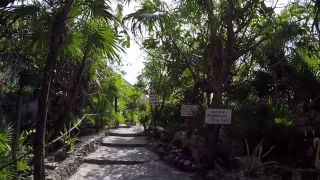 Entrance to Coconuts Bar and Grill on Cozumel