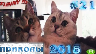 Отборные приколы (#21) 18.01.2015 / Funny Best Jokes