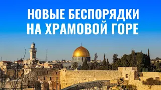 Храмовая гора вновь открылась для евреев