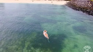 Drone Surfing at Serangan Bali by Indo Eye