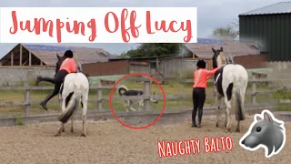 Barn Vlog | Jumping Off Lucy & Goat Enrichment