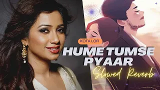 Hume Tumse Pyaar Kitna (Slowed+Reverb) - Shreya Ghoshal | Kota Lofi
