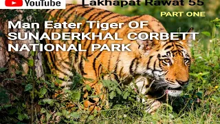 MAN EATER TIGER OF SUNDERKHAL CORBETT  PARK  RAMNAGAR