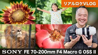 望遠もマクロもいける万能レンズを試したら描写もスゴかった！【SONY FE 70-200mm F4 Macro G OSS II】