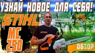 ОБЗОР БЕНЗОПИЛЫ ШТИЛЬ МС 250! Каждый узнает что-то новое для себя!